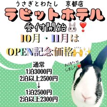 待望の『ラビットホテル』OPEN!!