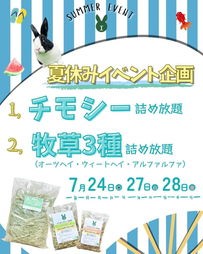 夏休み企画　牧草詰め放題イベント🌟