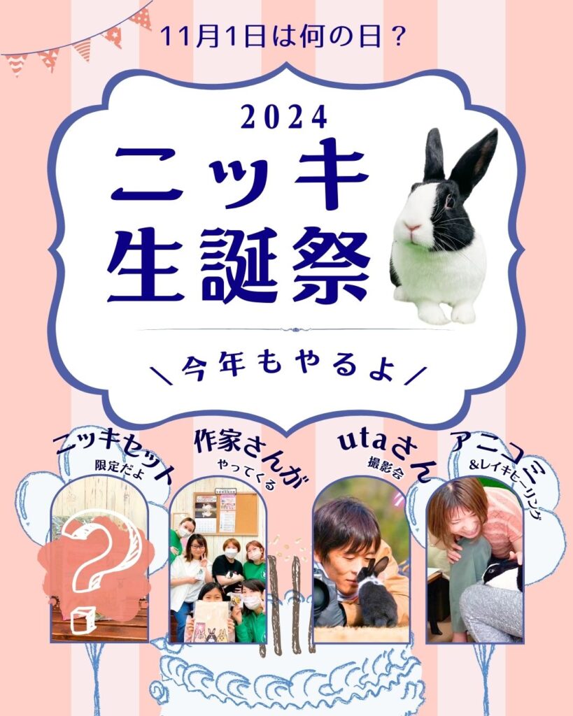 11月1日は何の日か知ってる？🐰