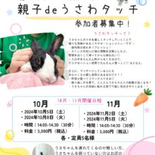 うさわたっち10・11月の開催日程🐰