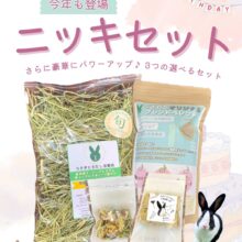 今年も販売します🐰ニッキセット🎂