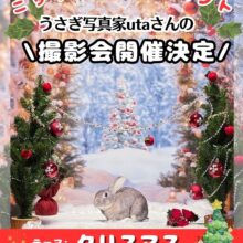 【ニッキ生誕祭イベント】utaさん撮影会🎄