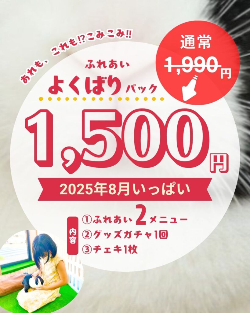 あれもこれもついてる‼ふれあいよくばりパック登場🌟