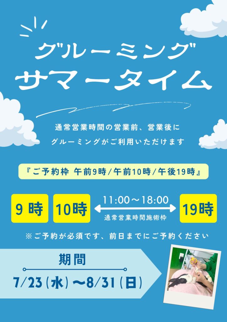 グルーミングサマータイム始めました🌞