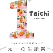 祝🎊太一1歳生誕祭🐰👑