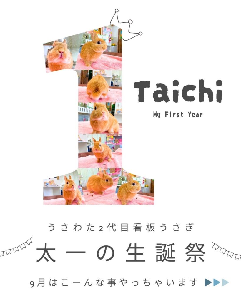 祝🎊太一1歳生誕祭🐰👑
