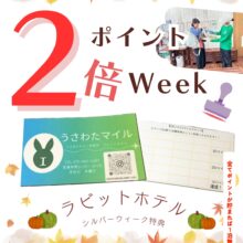 シルバーウィークはうさわたラビットホテルが⁉️🐰