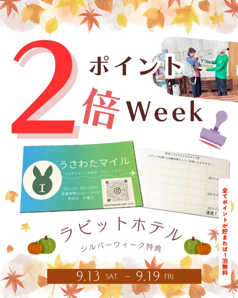 シルバーウィークはうさわたラビットホテルが⁉️🐰