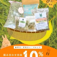 食欲の秋ということで・・・🐰🍽️