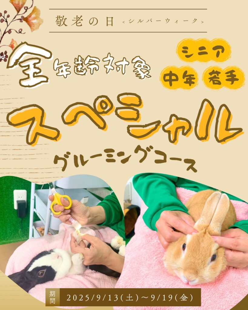 期間限定スペシャルグルーミングコース登場✨
