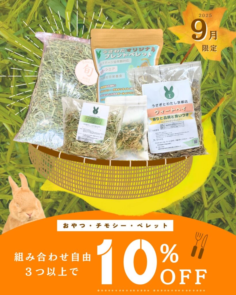 食欲の秋ということで・・・🐰🍽️