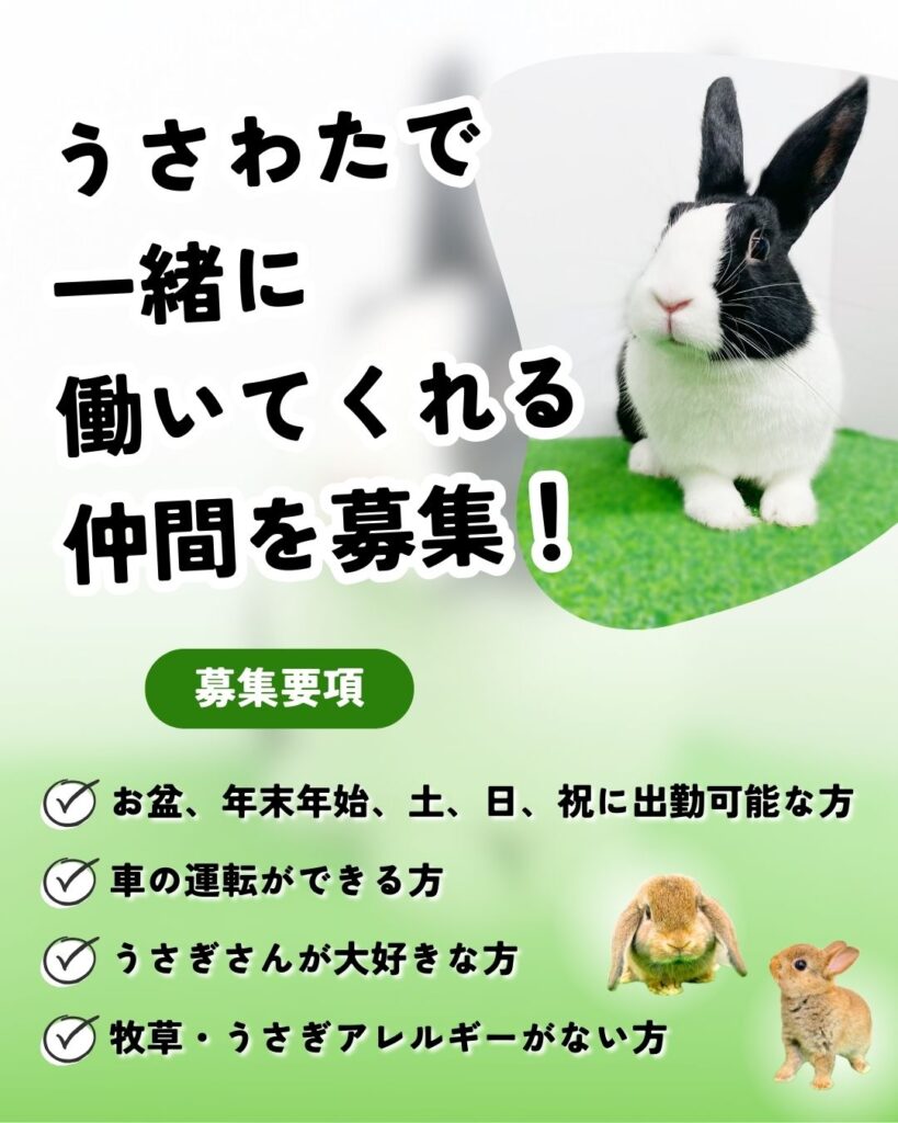 うさわたで一緒に働く仲間を大募集🐰