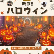 うさぎ写真家utaさんによる撮影会開催決定‼