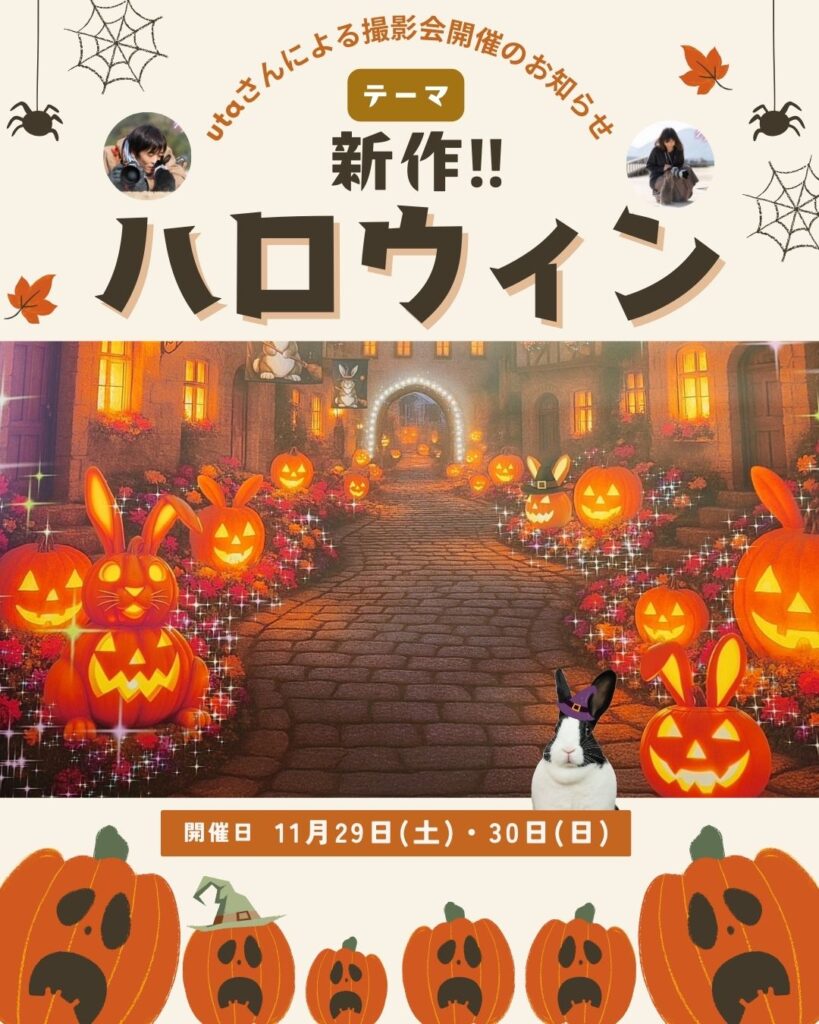 うさぎ写真家utaさんによる撮影会開催決定‼