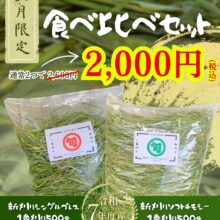 どっちも食べられる⁉食べ比べセットご用意しました！