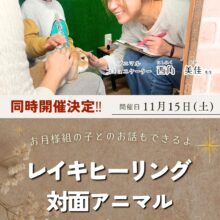 １１月開催！アニコミ＆レイキヒーリング🐰