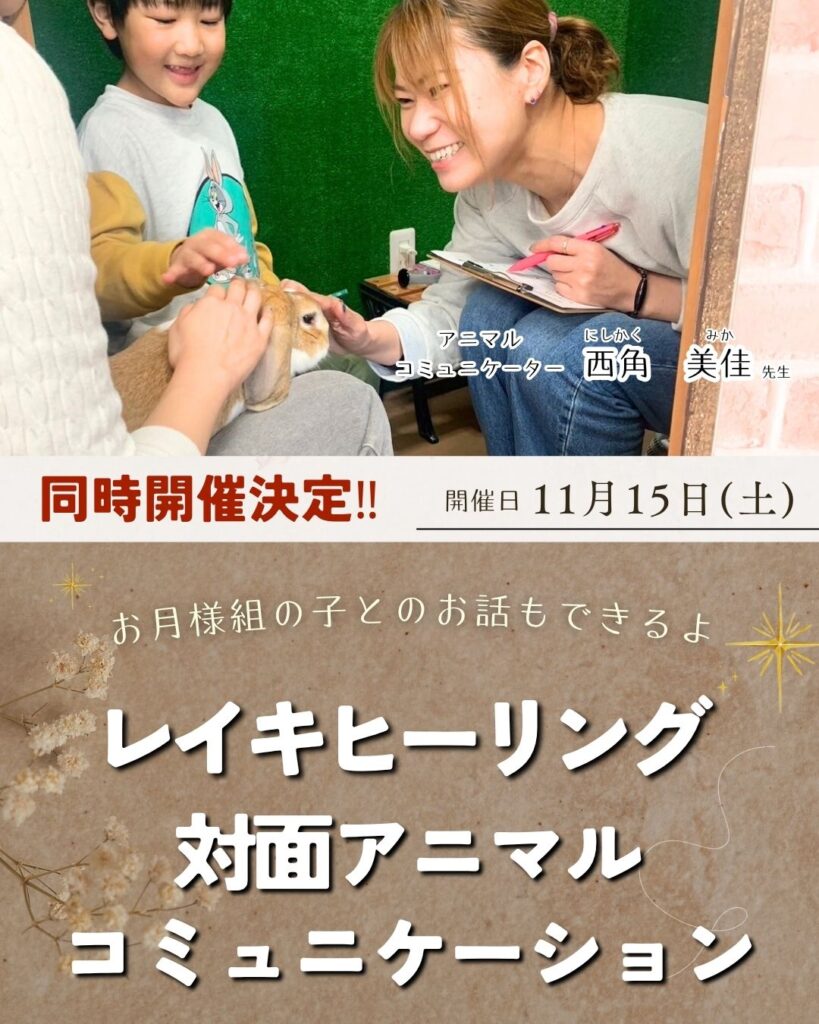 １１月開催！アニコミ＆レイキヒーリング🐰
