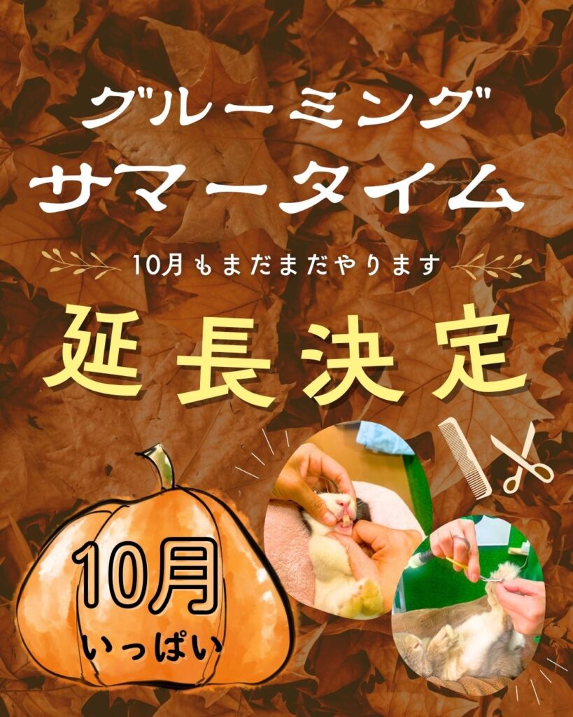 グルーミングサマータイムさらに、さらに⁉延長決定👏