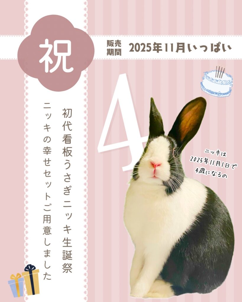 看板うさぎニッキは11月1日で4歳になるよ🎂🐰