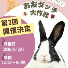 ハンドメイドうさぎ雑貨イベント第2回開催決定🎉