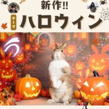 11月開催utaさんの撮影会🎃ご予約Start🎃