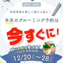 年末のグルーミング予約は争奪戦です⚔️🐰