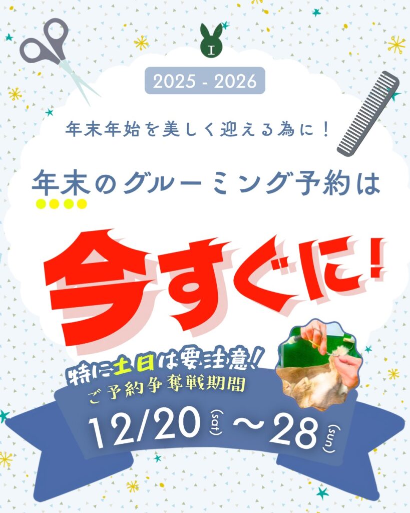 年末のグルーミング予約は争奪戦です⚔️🐰