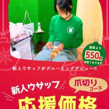 新人ウサッフグルーミングデビュー🎉