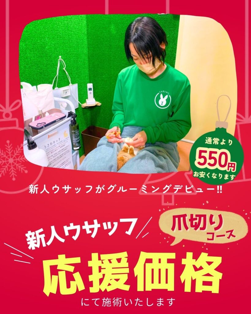 新人ウサッフグルーミングデビュー🎉