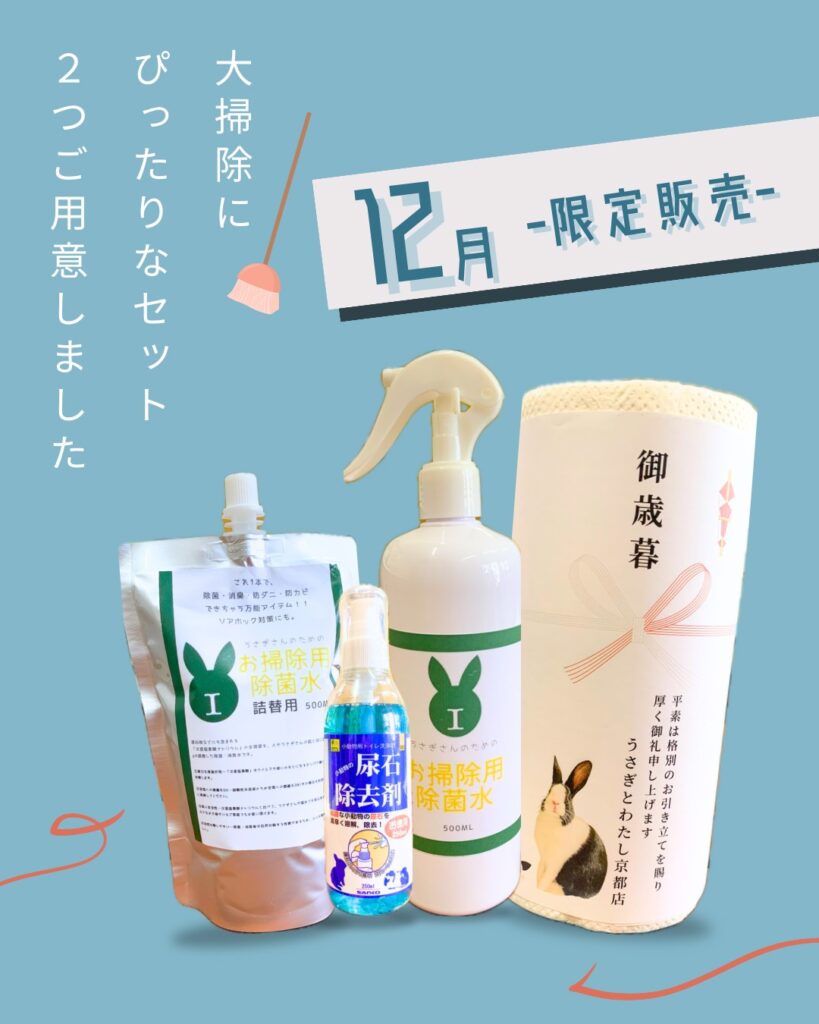 大掃除にぴったりなセットご用意しました🧹