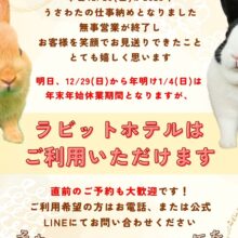 2025年仕事納め🐰