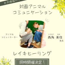 3月開催アニコミイベント情報🐇