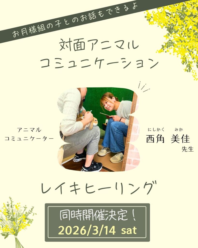 3月開催アニコミイベント情報🐇