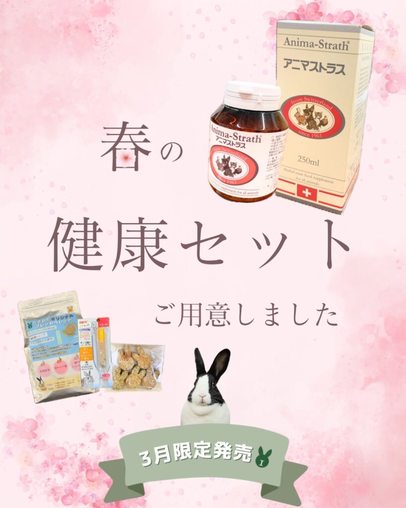 ３月限定『健康セット』が登場！🌸