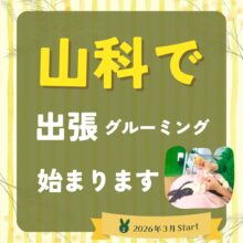 山科で出張グルーミングStart！🚙