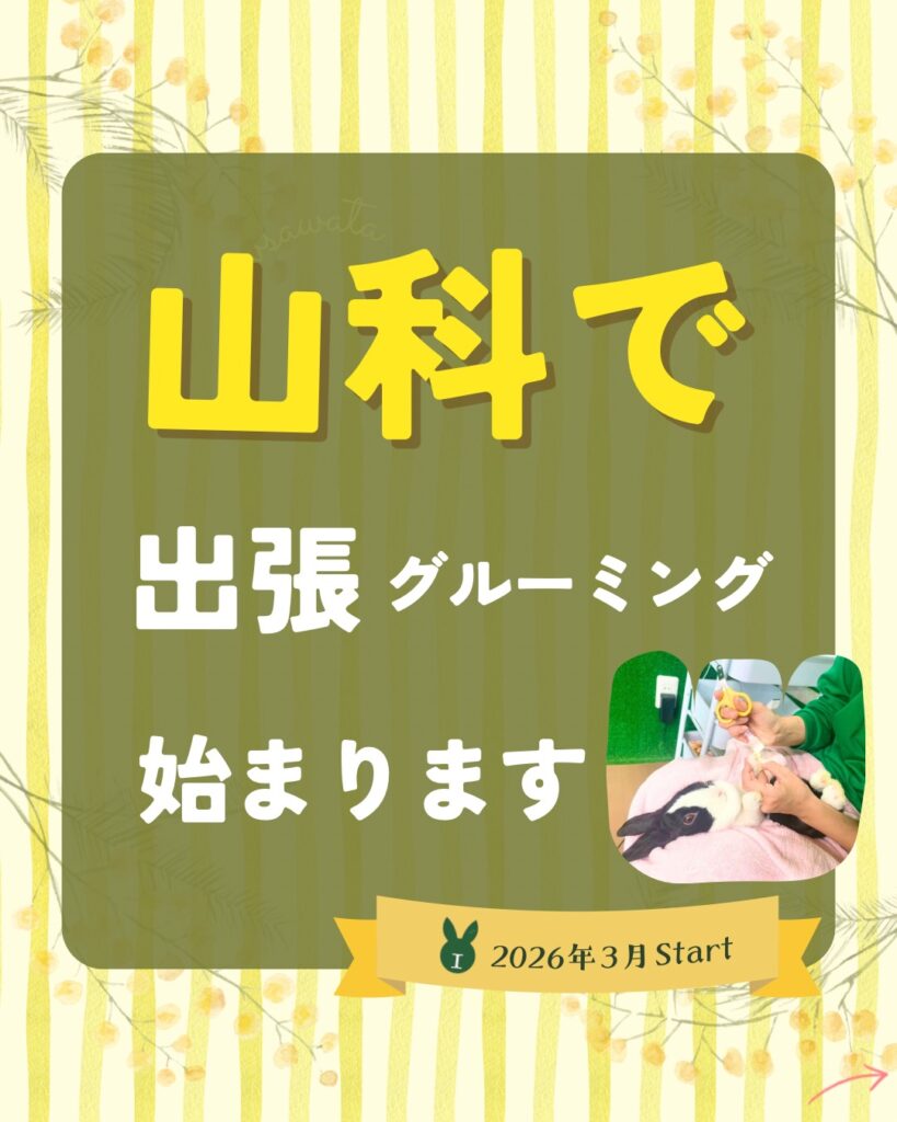 山科で出張グルーミングStart！🚙