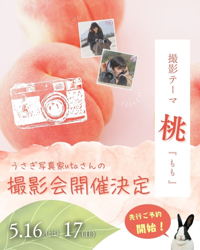 うさぎ写真家utaさん、次回のテーマは…⁉