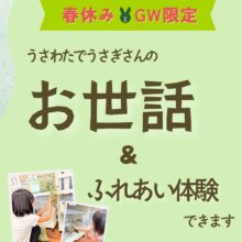 春休み、GWにうさぎさんのお世話体験をしよう♪