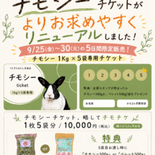 限定チモチケが登場✨