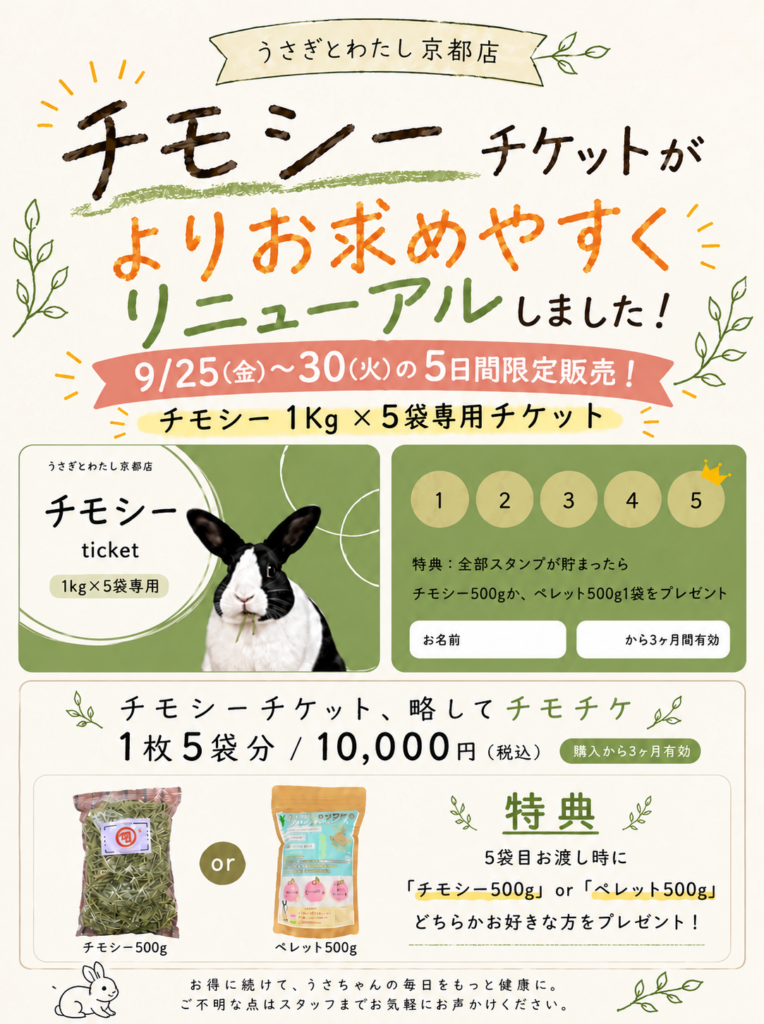 限定チモチケが登場✨