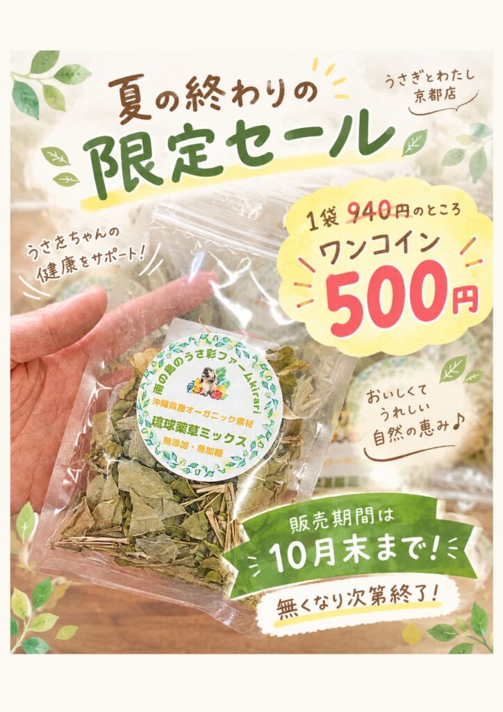 🌿🐰 夏の終わりのSALE開催中その1 🐰🌿