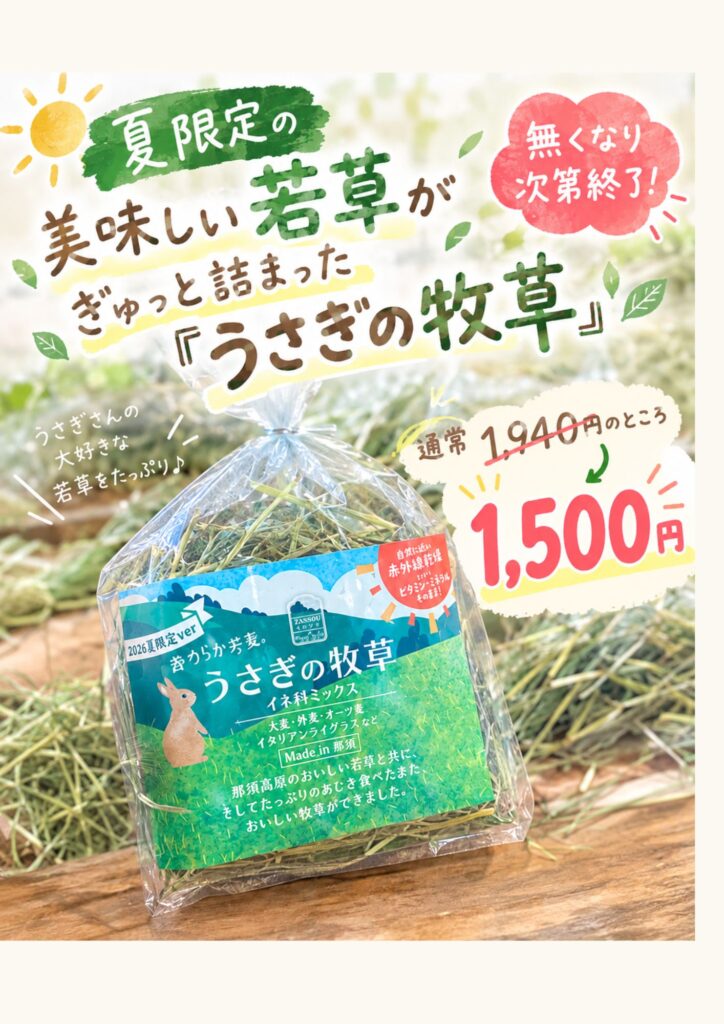 🌿🐰 夏限定の牧草、SALE開催中その2 🐰🌿