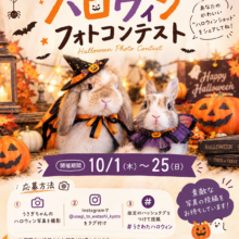 🎃🐰 ハロウィン フォトコンテスト開催！ 🐰🎃