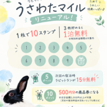 🐰✨ うさわたマイルがリニューアル！ ✨🐰