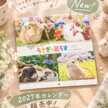 2027年のカレンダーはこれで決まり♪