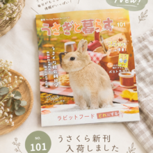 うさくら最新号が入荷してます🍂