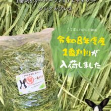 令和8年度産の初刈りチモシー入荷🌾✨