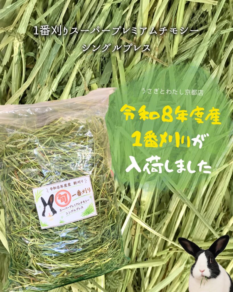 令和8年度産の初刈りチモシー入荷🌾✨